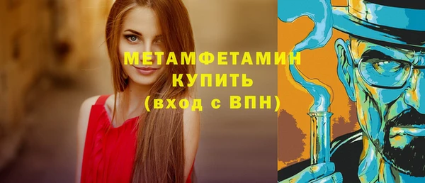 индика Арсеньев