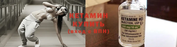 индика Арсеньев