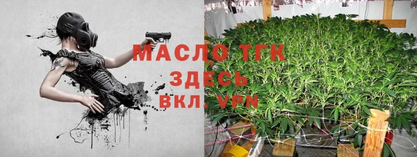 индика Арсеньев
