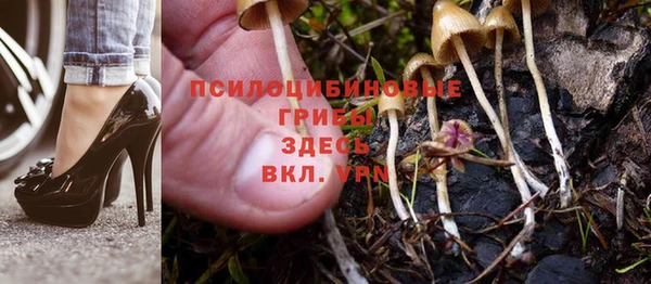 герыч Аркадак