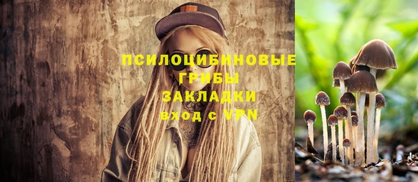 гашик Армянск