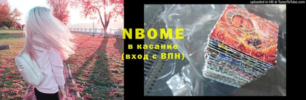индика Арсеньев