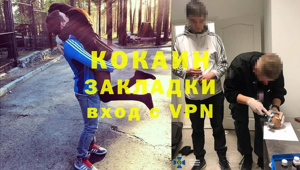 индика Арсеньев