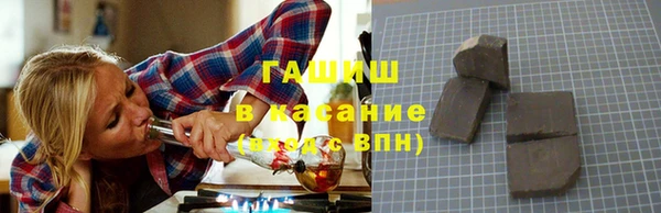 индика Арсеньев
