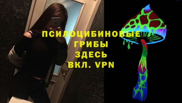 гашик Армянск