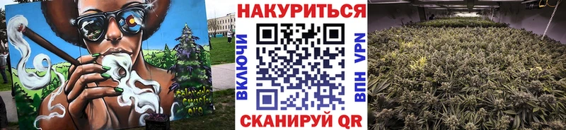 Канабис сатива  дарк нет Telegram  Советский 